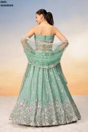 PF  6025 COLOUR’S